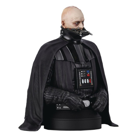 Gentle Giant - bust 1/6 Darth Vader (unhelmeted) - Star Wars Episode VI