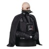 Gentle Giant - bust 1/6 Darth Vader (unhelmeted) - Star Wars Episode VI