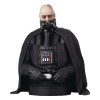 Gentle Giant - bust 1/6 Darth Vader (unhelmeted) - Star Wars Episode VI