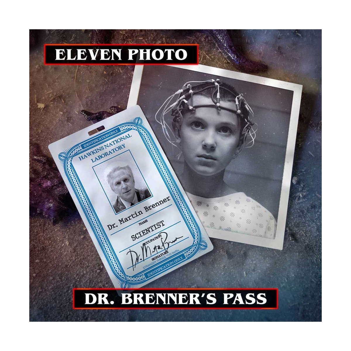 Doctor Collector - Stranger Things Hawkins Memories Kit Vecna's Course Limited Edition