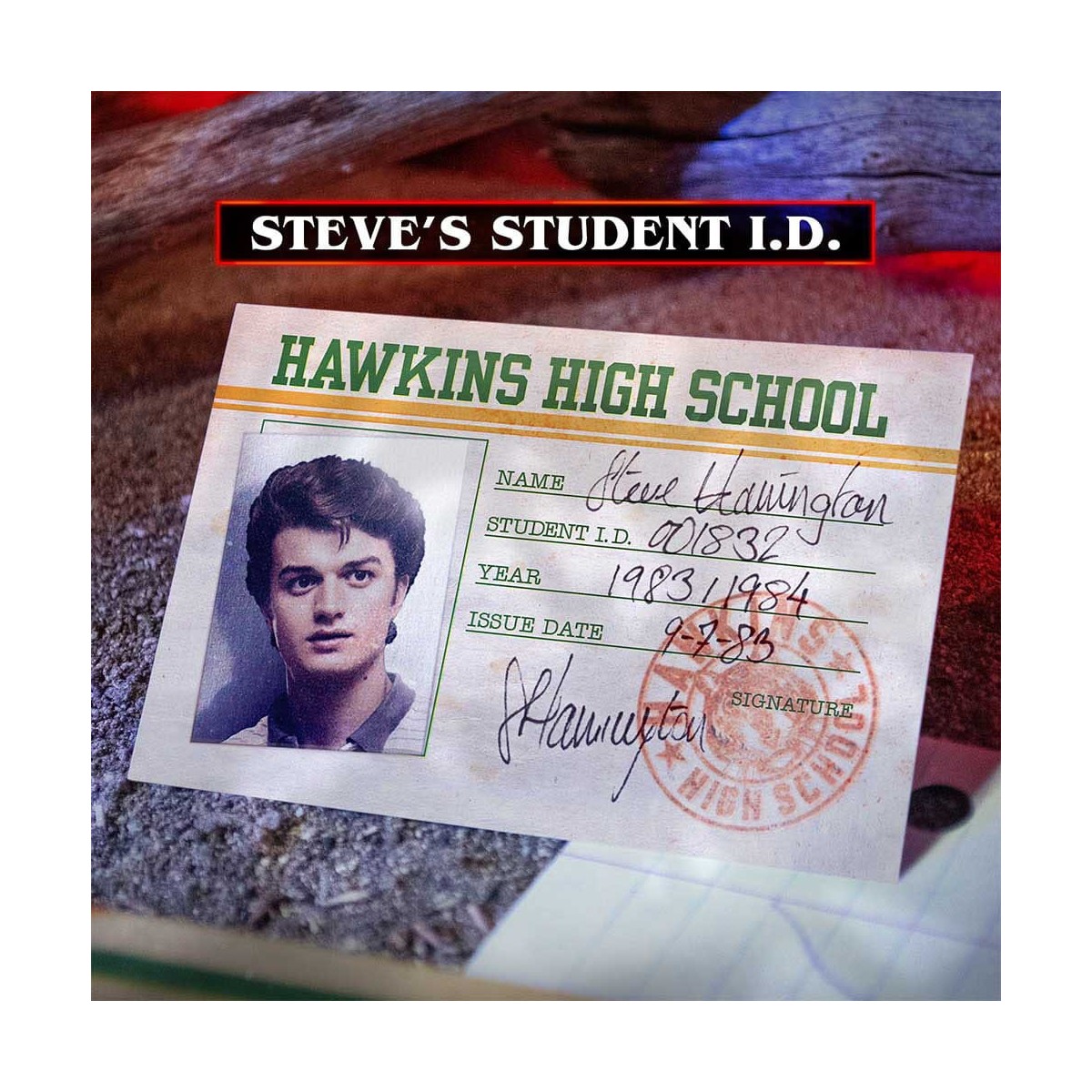 Doctor Collector - Stranger Things Hawkins Memories Kit Vecna's Course Limited Edition