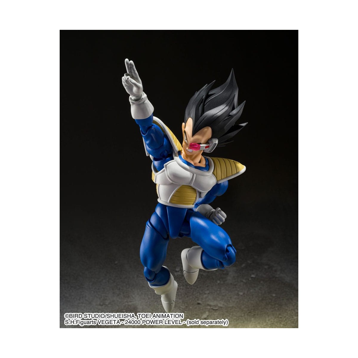 Bandai Tamashii - Dragon Ball Z - KYEWI - SHF SHFiguarts - KIWI
