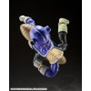 Bandai Tamashii - Dragon Ball Z - KYEWI - SHF SHFiguarts - KIWI