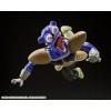 Bandai Tamashii - Dragon Ball Z - KYEWI - SHF SHFiguarts - KIWI