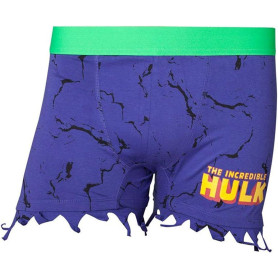 Marvel Boxer Hulk Logo