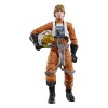 Star Wars The Black Series Archive - Luke Skywalker (Pilot)