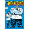 Marvel Legends - Patch & Joe Fixit - Wolverine 50th Anniversary