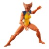 Marvel Legends X-Force - Wolfsbane - Zabu Wave