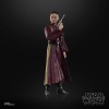 Star Wars The Black Series - Padmé Amidala - Star Wars: The Phantom Menace