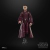Star Wars The Black Series - Padmé Amidala - Star Wars: The Phantom Menace