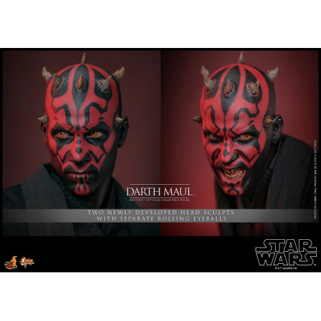 Hot Toys Star Wars The Phantom Menace - Darth Maul 2.0 Collector Edition MMS 1/6