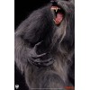 Premium Collectibles Studio PCS - THE HOWLING Epic Series 1/3 - Howling