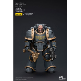 JoyToy Space Marines - Space Wolves - Grey Slayer Pack - Grey Slayer 3 1/18 - The Horus Heresy