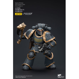 JoyToy Space Marines - Space Wolves - Grey Slayer Pack - Grey Slayer 3 1/18 - The Horus Heresy