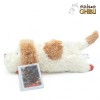Maison Ghibli Hin Plush - The Moving Castle