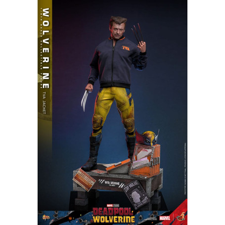 Hot Toys Marvel Deadpool & Wolverine - Wolverine TVA Jacket Version MMS 1/6