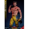 Hot Toys Marvel Deadpool & Wolverine - Wolverine TVA Jacket Version MMS 1/6