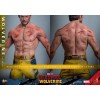 Hot Toys Marvel Deadpool & Wolverine - Wolverine TVA Jacket Version MMS 1/6