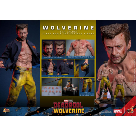 Hot Toys Marvel Deadpool & Wolverine - Wolverine TVA Jacket Version MMS 1/6