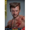 Hot Toys Marvel Deadpool & Wolverine - Wolverine TVA Jacket Version MMS 1/6