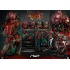 Hot Toys Star Wars - Feral Predator 1/6 - Prey