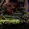 Iron Studios - HE-MAN UNLEASHED Deluxe Art Scale 1/10 - Masters of the Universe - Masters of the Universe