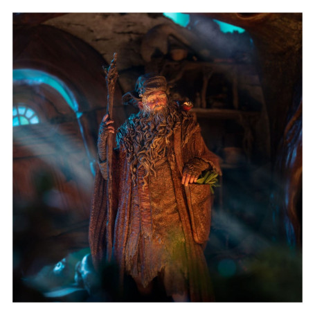 Weta - Radagast in Rhosgobel Limited Edition - The Lord of the Rings statuette 1/6