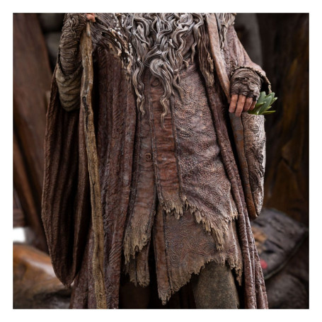 Weta - Radagast in Rhosgobel Limited Edition - The Lord of the Rings statuette 1/6