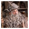 Weta - Radagast in Rhosgobel Limited Edition - The Lord of the Rings statuette 1/6