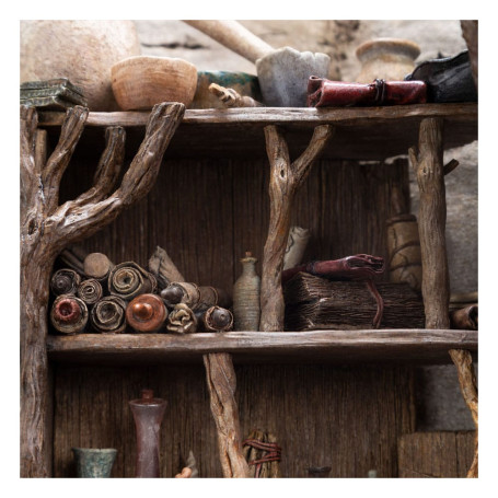 Weta - Radagast in Rhosgobel Limited Edition - The Lord of the Rings statuette 1/6
