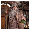Weta - Radagast in Rhosgobel Limited Edition - The Lord of the Rings statuette 1/6