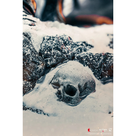 Pure Arts - The Witcher 3: Wild Hunt - The Wild Hunter Diorama 1/6