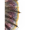 Pure Arts - Monster Hunter World - Nergigante 1/26