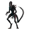 Hot Toys - Alien Romulus - Scorched Xenomorph MMS 1/6