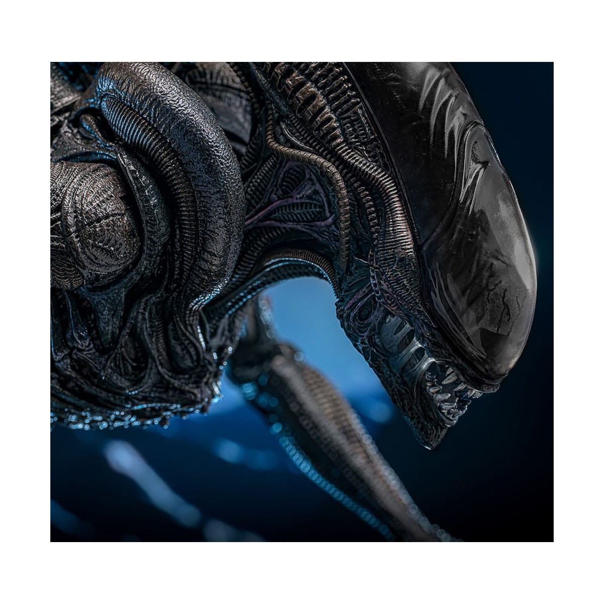 Hot Toys - Alien Romulus - Scorched Xenomorph MMS 1/6