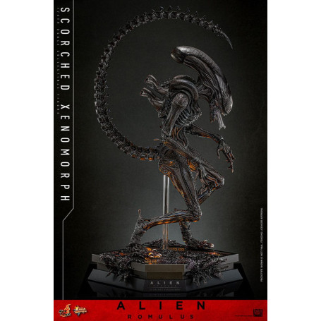Hot Toys - Alien Romulus - Scorched Xenomorph MMS 1/6