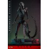 Hot Toys - Alien Romulus - Scorched Xenomorph MMS 1/6