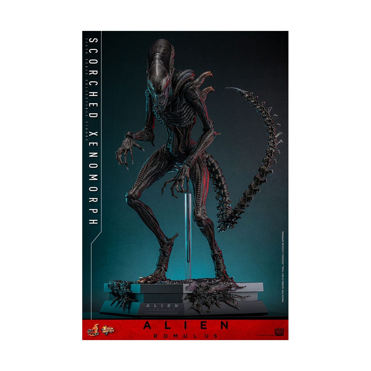 Hot Toys - Alien Romulus - Scorched Xenomorph MMS 1/6