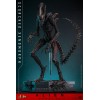 Hot Toys - Alien Romulus - Scorched Xenomorph MMS 1/6