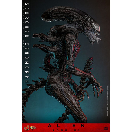 Hot Toys - Alien Romulus - Scorched Xenomorph MMS 1/6