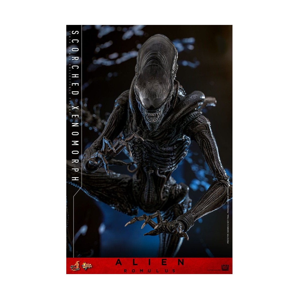 Hot Toys - Alien Romulus - Scorched Xenomorph MMS 1/6