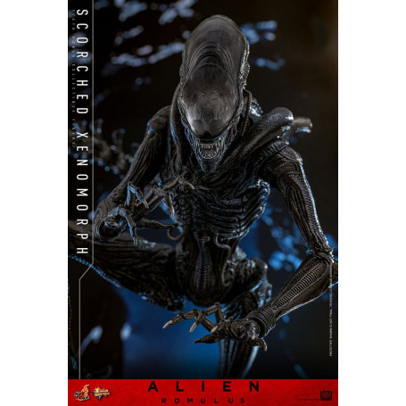 Hot Toys - Alien Romulus - Scorched Xenomorph MMS 1/6