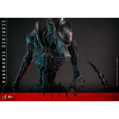 Hot Toys - Alien Romulus - Scorched Xenomorph MMS 1/6