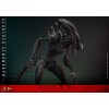 Hot Toys - Alien Romulus - Scorched Xenomorph MMS 1/6