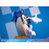 First 4 Figures - Sonic the Hedgehog Collector's Edition - Sonic Adventure
