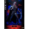 Hot Toys - BATMAN - Batman & Robin MMS 1/6