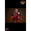 Hot Toys Marvel Deadpool & Wolverine - Nicepool MMS 1/6