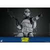 Hot Toys Star Wars - 104th Battalion Wolfpack Clone Trooper Deluxe Version - The Clone Wars 1/6