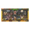 NECA - Punk Turtles 4 Pack - TMNT Cartoon