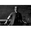 NECA - Ultimate Frankenstein's Monster (Bride of Frankenstein) Black & White Version - Universal Monsters